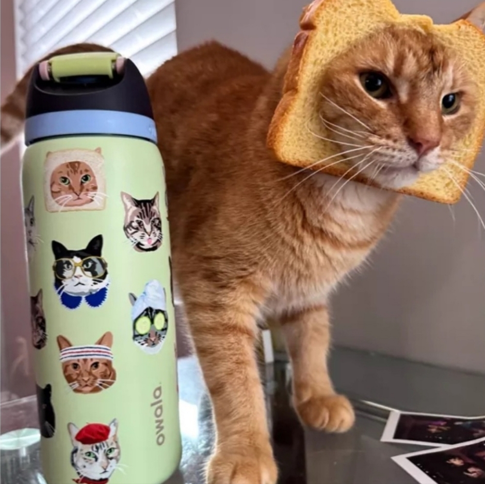 Owala UO Exclusive FreeSip 32 oz Cat Collage